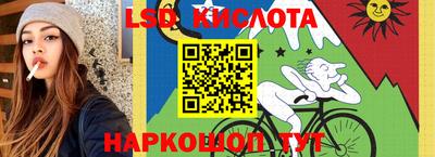 СК Донской