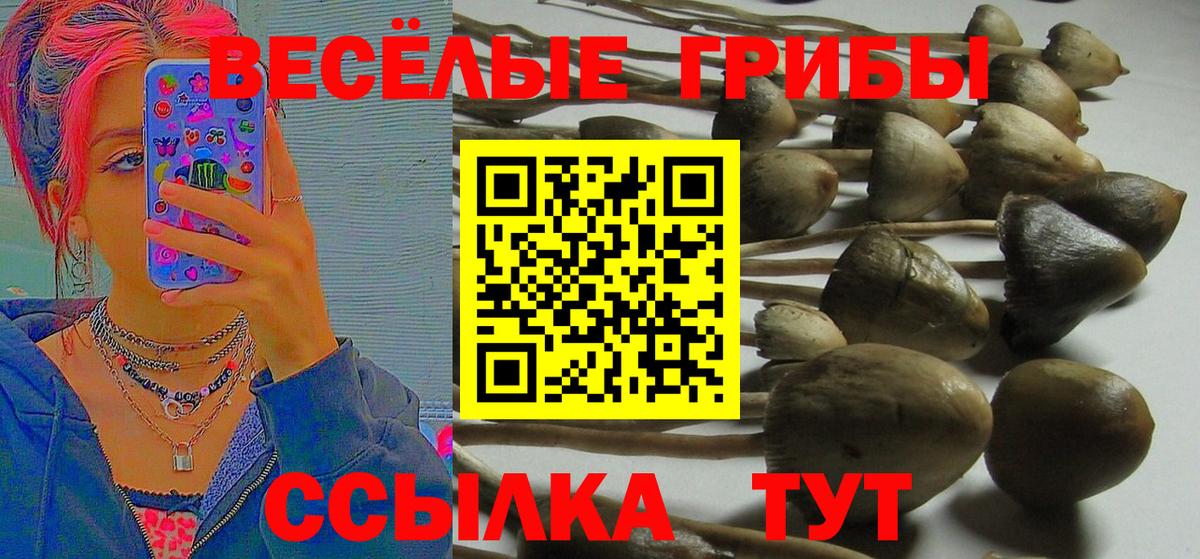 Псилоцибиновые грибы ЛСД Озёрск
