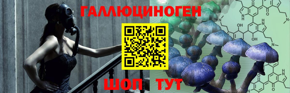 Озёрск  купить наркотик  Вход с VPN  Галлюциногенные грибы GOLDEN TEACHER 